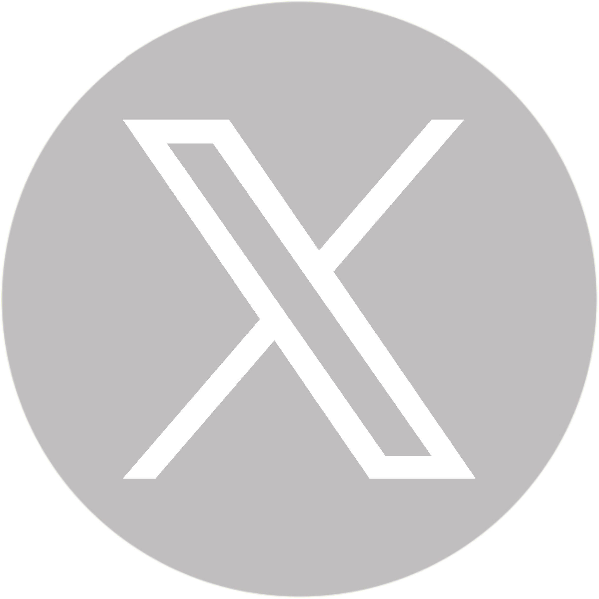 X Icon (2)